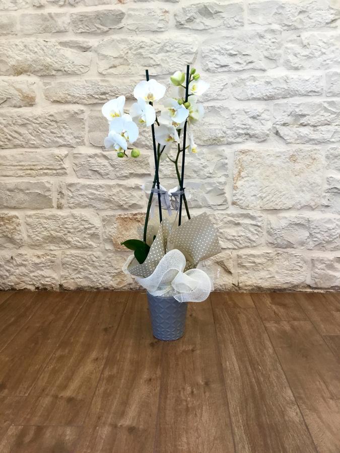 B&B Sant'Agostino Giovinazzo Buitenkant foto